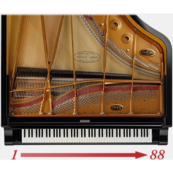 Music City – Tổng Kho Piano, Guitar, Organ | Dịch Vụ Giáo Dục Âm Nhạc