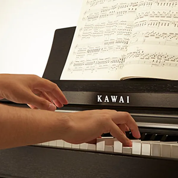 Music City – Tổng Kho Piano, Guitar, Organ | Dịch Vụ Giáo Dục Âm Nhạc