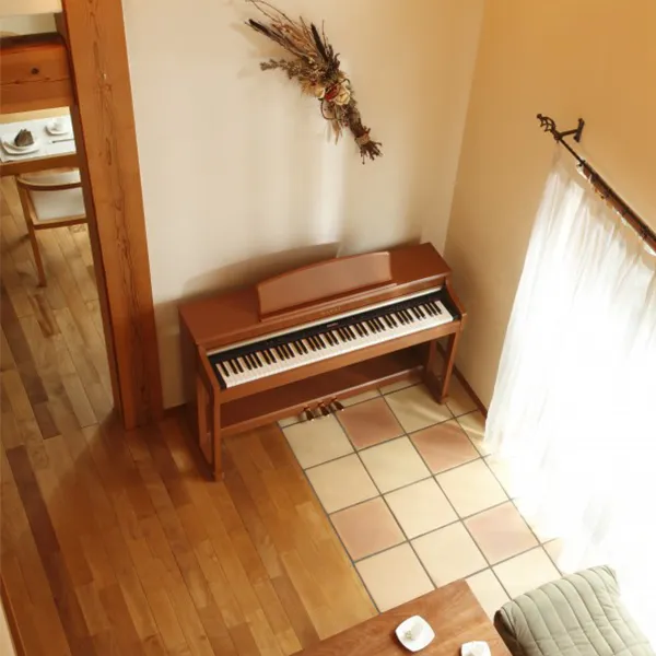 Music City – Tổng Kho Piano, Guitar, Organ | Dịch Vụ Giáo Dục Âm Nhạc