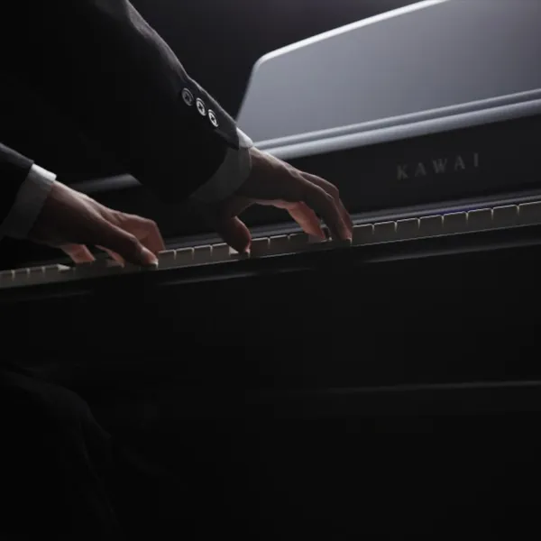 Music City – Tổng Kho Piano, Guitar, Organ | Dịch Vụ Giáo Dục Âm Nhạc