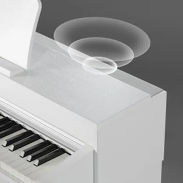Music City – Tổng Kho Piano, Guitar, Organ | Dịch Vụ Giáo Dục Âm Nhạc