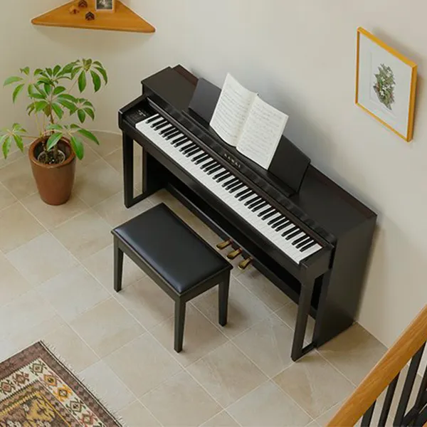 Music City – Tổng Kho Piano, Guitar, Organ | Dịch Vụ Giáo Dục Âm Nhạc