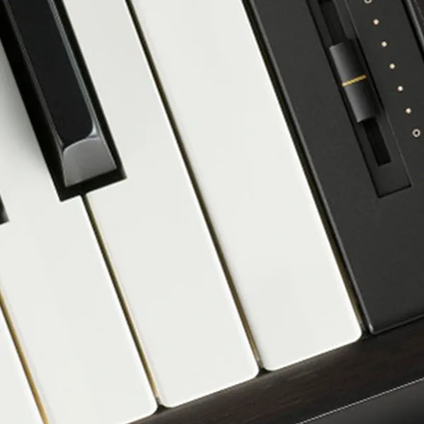 Music City – Tổng Kho Piano, Guitar, Organ | Dịch Vụ Giáo Dục Âm Nhạc