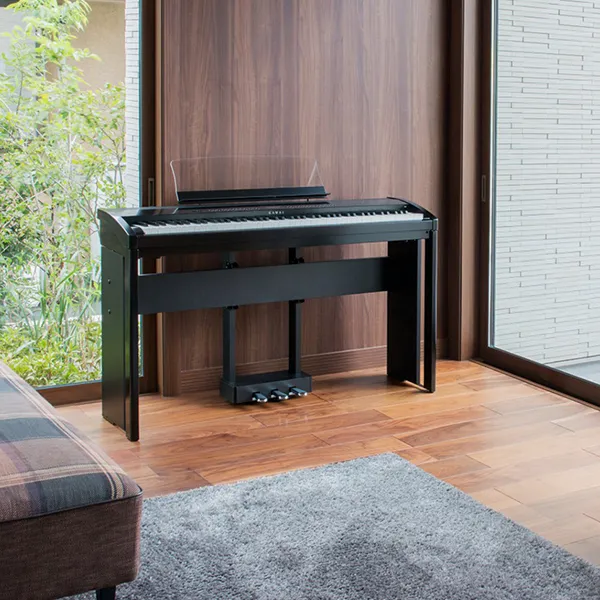 Music City – Tổng Kho Piano, Guitar, Organ | Dịch Vụ Giáo Dục Âm Nhạc