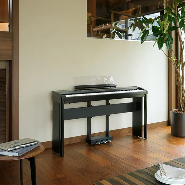 Music City – Tổng Kho Piano, Guitar, Organ | Dịch Vụ Giáo Dục Âm Nhạc