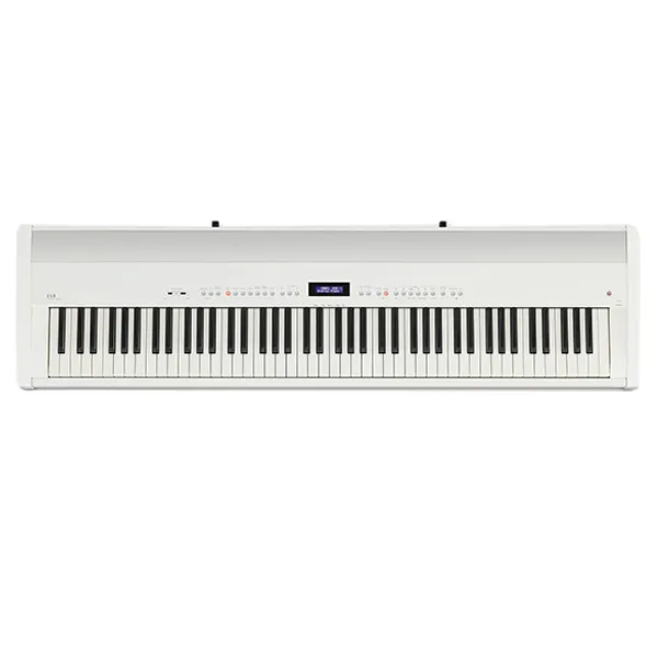 Music City – Tổng Kho Piano, Guitar, Organ | Dịch Vụ Giáo Dục Âm Nhạc