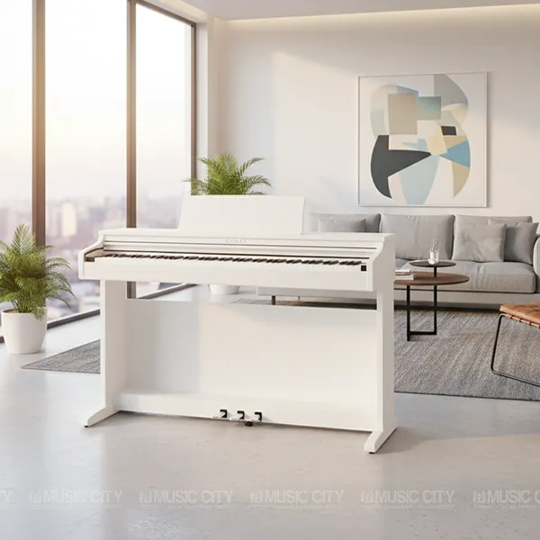 Music City – Tổng Kho Piano, Guitar, Organ | Dịch Vụ Giáo Dục Âm Nhạc