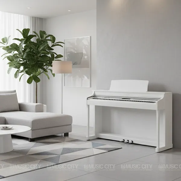 Music City – Tổng Kho Piano, Guitar, Organ | Dịch Vụ Giáo Dục Âm Nhạc