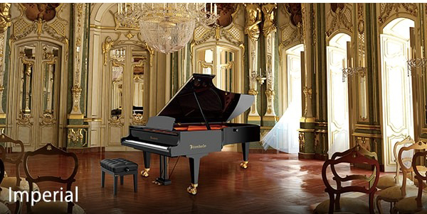 Music City – Tổng Kho Piano, Guitar, Organ | Dịch Vụ Giáo Dục Âm Nhạc