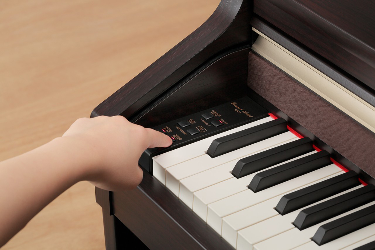 Music City – Tổng Kho Piano, Guitar, Organ | Dịch Vụ Giáo Dục Âm Nhạc