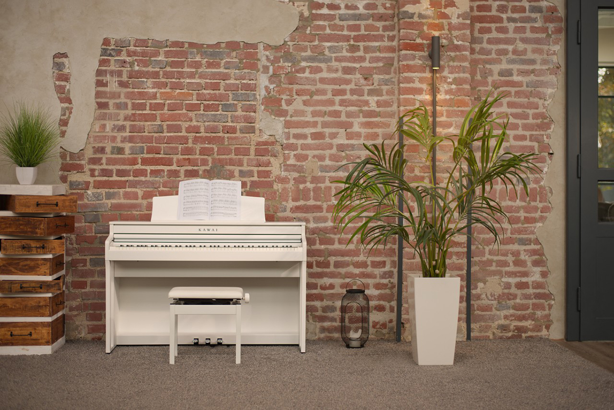 Music City – Tổng Kho Piano, Guitar, Organ | Dịch Vụ Giáo Dục Âm Nhạc