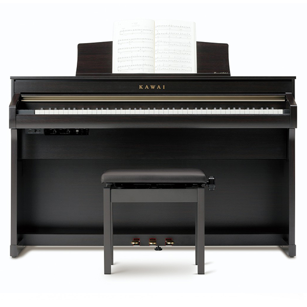 Music City – Tổng Kho Piano, Guitar, Organ | Dịch Vụ Giáo Dục Âm Nhạc