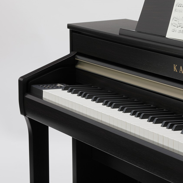 Music City – Tổng Kho Piano, Guitar, Organ | Dịch Vụ Giáo Dục Âm Nhạc