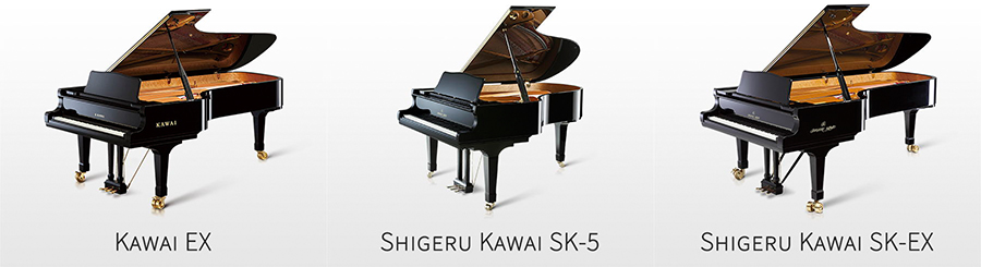 Music City – Tổng Kho Piano, Guitar, Organ | Dịch Vụ Giáo Dục Âm Nhạc