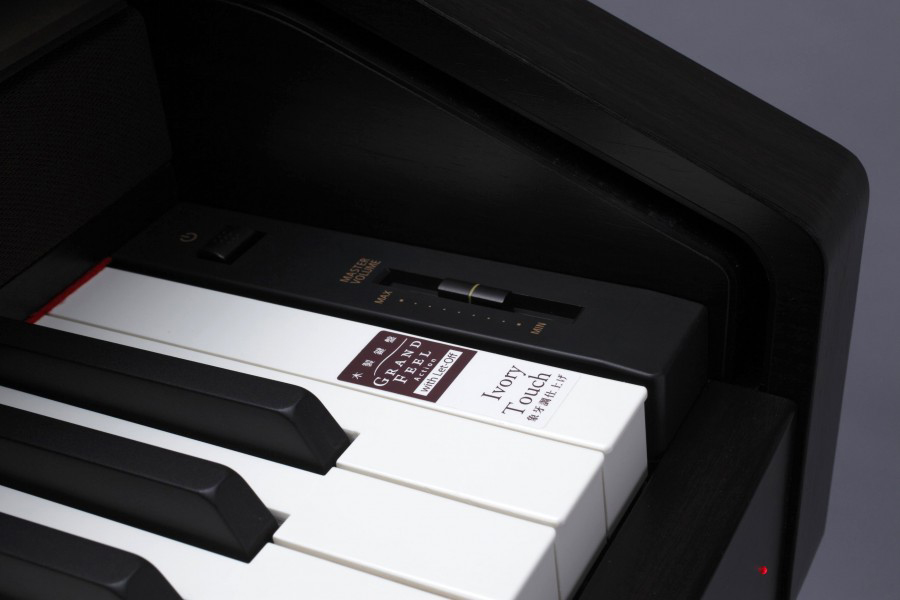 Music City – Tổng Kho Piano, Guitar, Organ | Dịch Vụ Giáo Dục Âm Nhạc