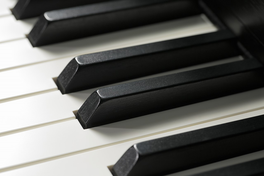 Music City – Tổng Kho Piano, Guitar, Organ | Dịch Vụ Giáo Dục Âm Nhạc