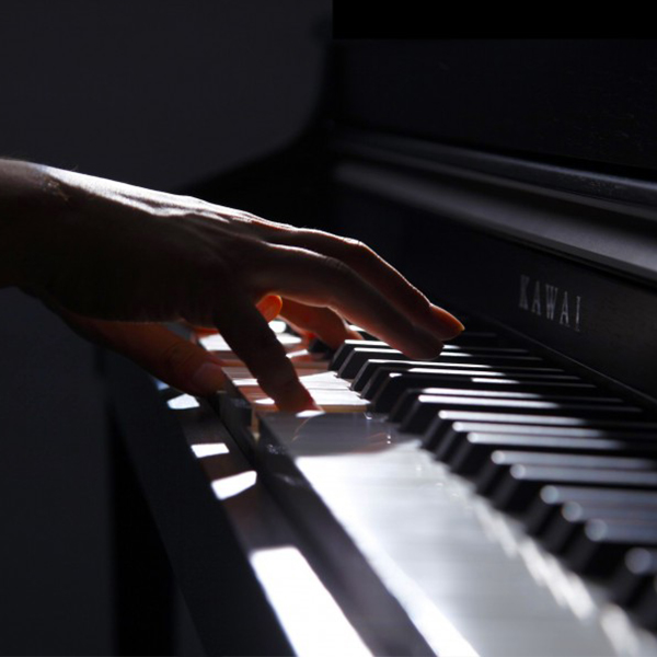 Music City – Tổng Kho Piano, Guitar, Organ | Dịch Vụ Giáo Dục Âm Nhạc
