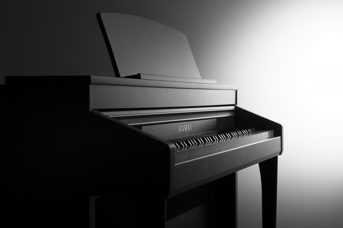 Music City – Tổng Kho Piano, Guitar, Organ | Dịch Vụ Giáo Dục Âm Nhạc