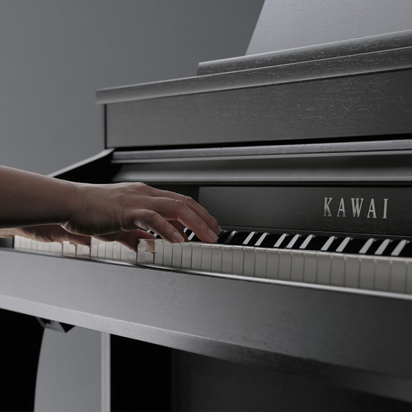 Music City – Tổng Kho Piano, Guitar, Organ | Dịch Vụ Giáo Dục Âm Nhạc
