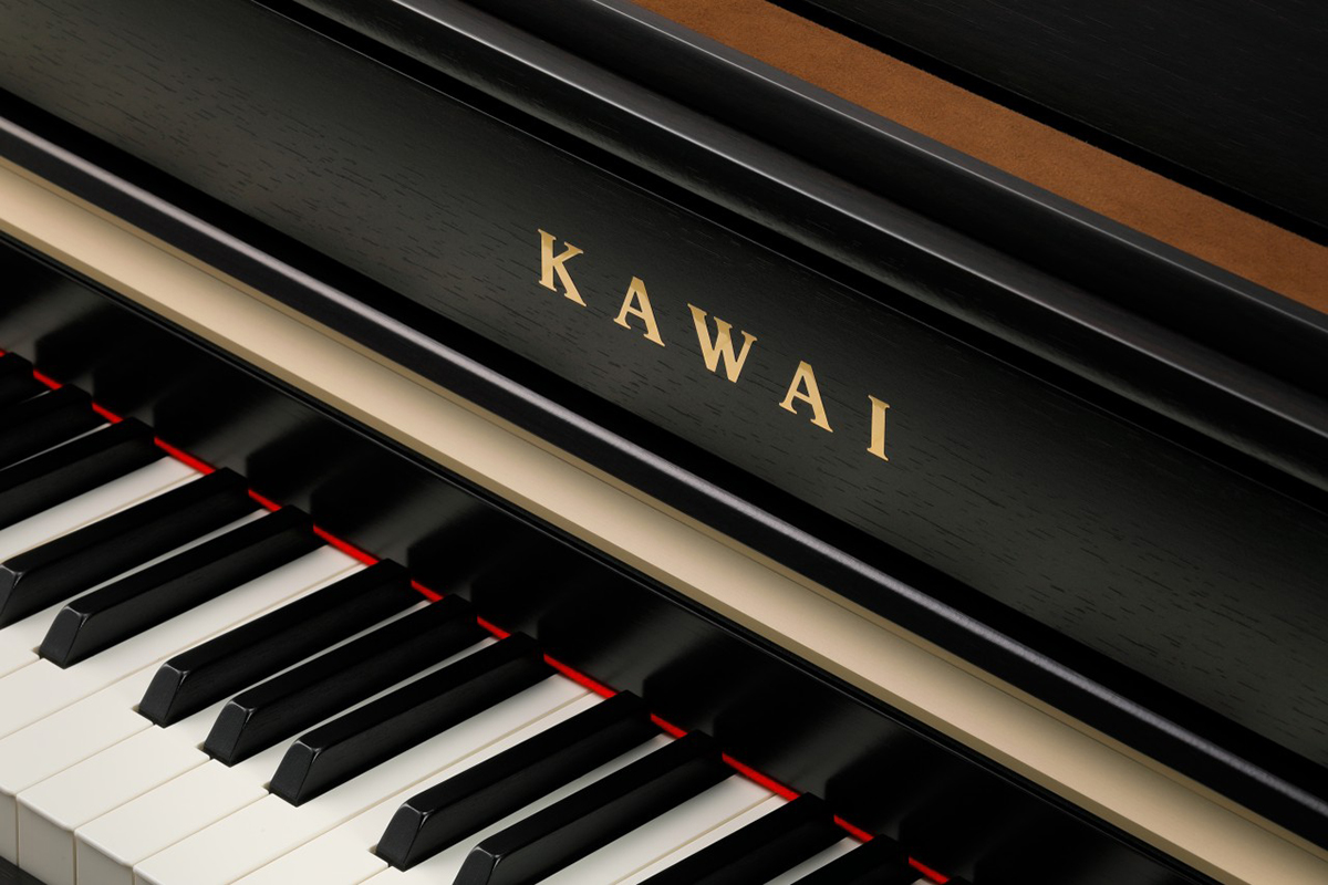 Music City – Tổng Kho Piano, Guitar, Organ | Dịch Vụ Giáo Dục Âm Nhạc