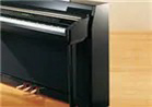 Music City – Tổng Kho Piano, Guitar, Organ | Dịch Vụ Giáo Dục Âm Nhạc