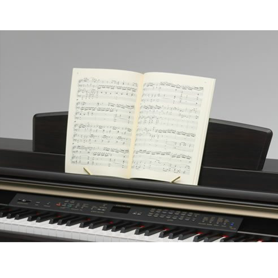 Music City – Tổng Kho Piano, Guitar, Organ | Dịch Vụ Giáo Dục Âm Nhạc