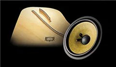Music City – Tổng Kho Piano, Guitar, Organ | Dịch Vụ Giáo Dục Âm Nhạc