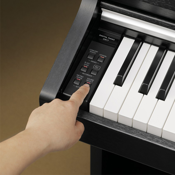 Music City – Tổng Kho Piano, Guitar, Organ | Dịch Vụ Giáo Dục Âm Nhạc