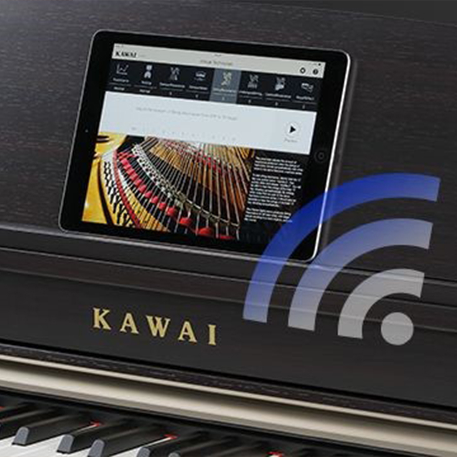 Music City – Tổng Kho Piano, Guitar, Organ | Dịch Vụ Giáo Dục Âm Nhạc