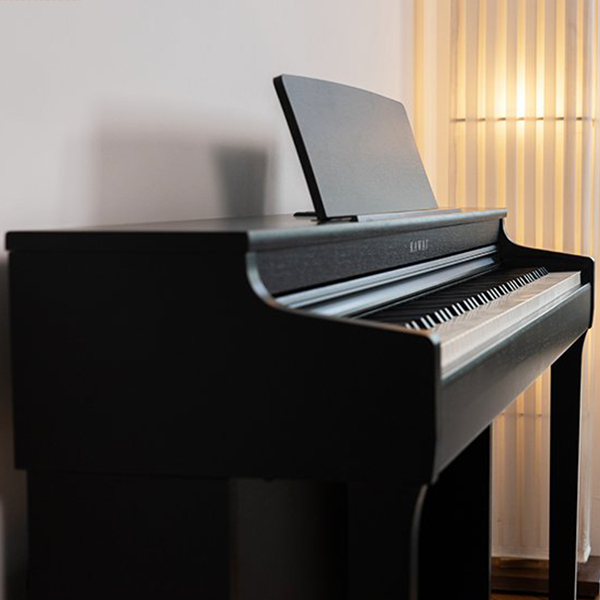 Music City – Tổng Kho Piano, Guitar, Organ | Dịch Vụ Giáo Dục Âm Nhạc