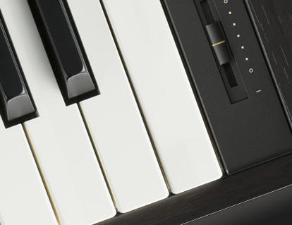 Music City – Tổng Kho Piano, Guitar, Organ | Dịch Vụ Giáo Dục Âm Nhạc