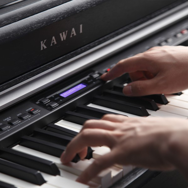 Music City – Tổng Kho Piano, Guitar, Organ | Dịch Vụ Giáo Dục Âm Nhạc