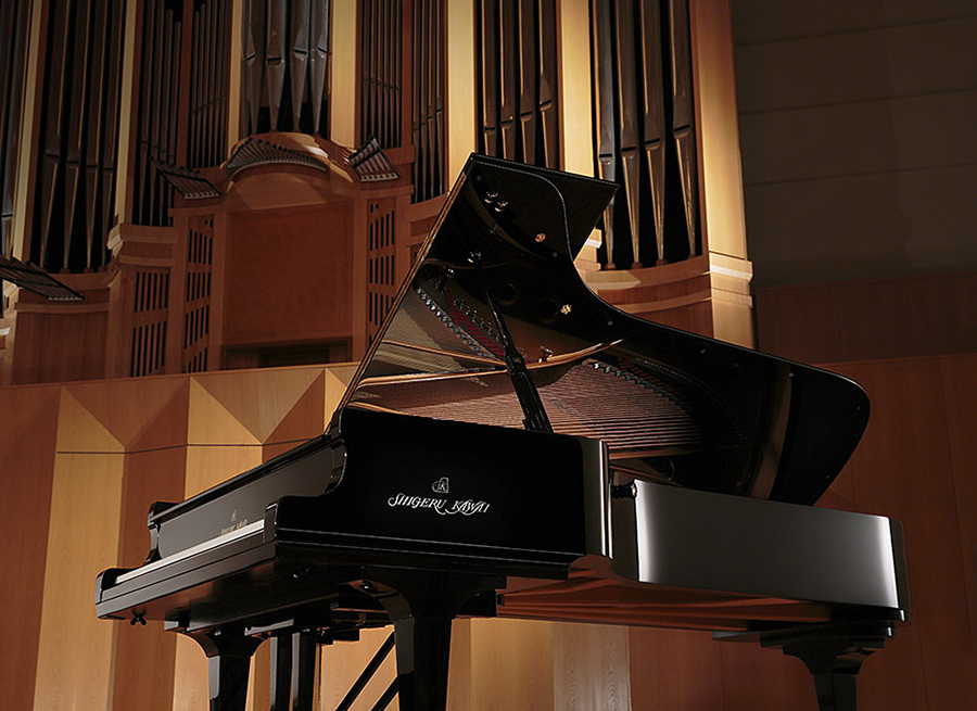 Music City – Tổng Kho Piano, Guitar, Organ | Dịch Vụ Giáo Dục Âm Nhạc
