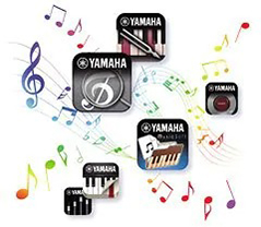 Music City – Tổng Kho Piano, Guitar, Organ | Dịch Vụ Giáo Dục Âm Nhạc