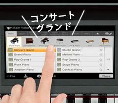 Music City – Tổng Kho Piano, Guitar, Organ | Dịch Vụ Giáo Dục Âm Nhạc