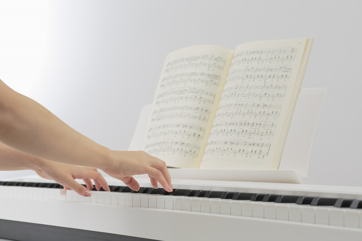 Music City – Tổng Kho Piano, Guitar, Organ | Dịch Vụ Giáo Dục Âm Nhạc