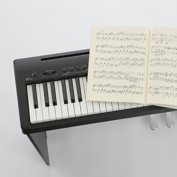 Music City – Tổng Kho Piano, Guitar, Organ | Dịch Vụ Giáo Dục Âm Nhạc