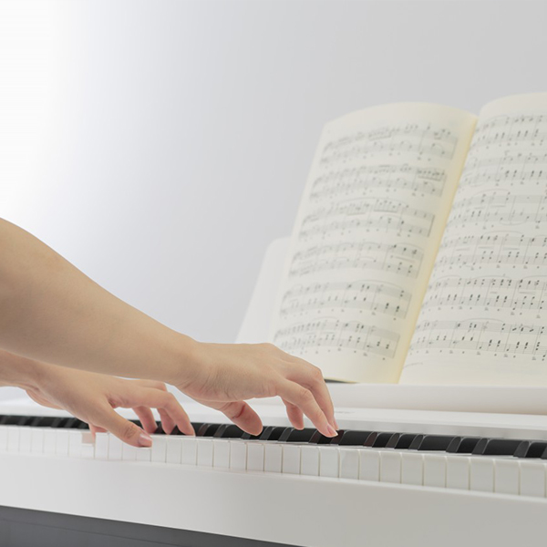 Music City – Tổng Kho Piano, Guitar, Organ | Dịch Vụ Giáo Dục Âm Nhạc