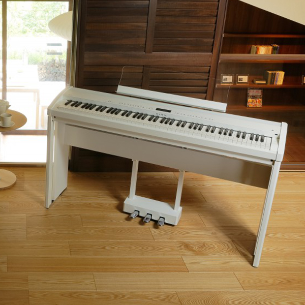 Music City – Tổng Kho Piano, Guitar, Organ | Dịch Vụ Giáo Dục Âm Nhạc