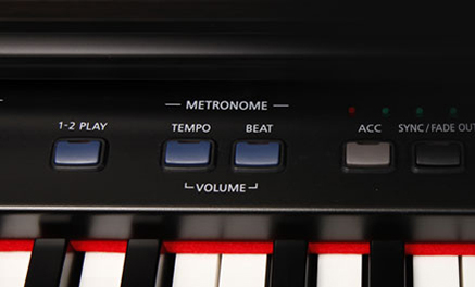 Music City – Tổng Kho Piano, Guitar, Organ | Dịch Vụ Giáo Dục Âm Nhạc