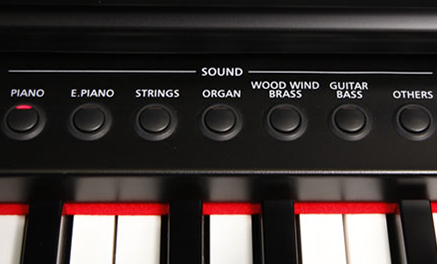 Music City – Tổng Kho Piano, Guitar, Organ | Dịch Vụ Giáo Dục Âm Nhạc
