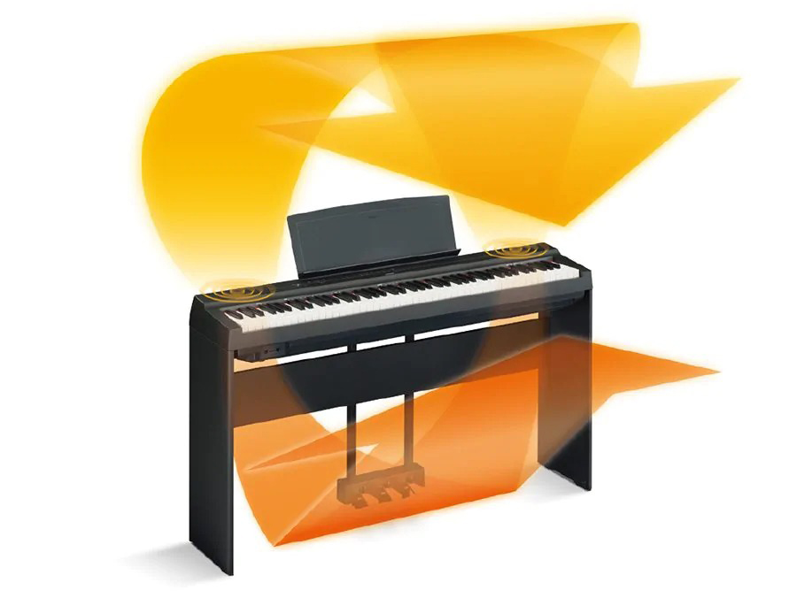Music City – Tổng Kho Piano, Guitar, Organ | Dịch Vụ Giáo Dục Âm Nhạc