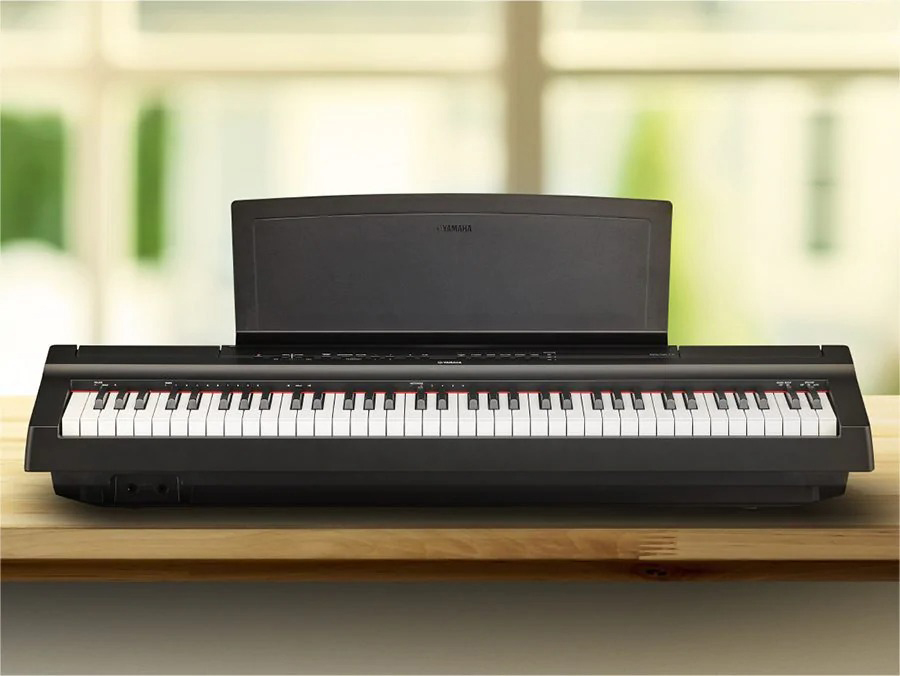 Music City – Tổng Kho Piano, Guitar, Organ | Dịch Vụ Giáo Dục Âm Nhạc