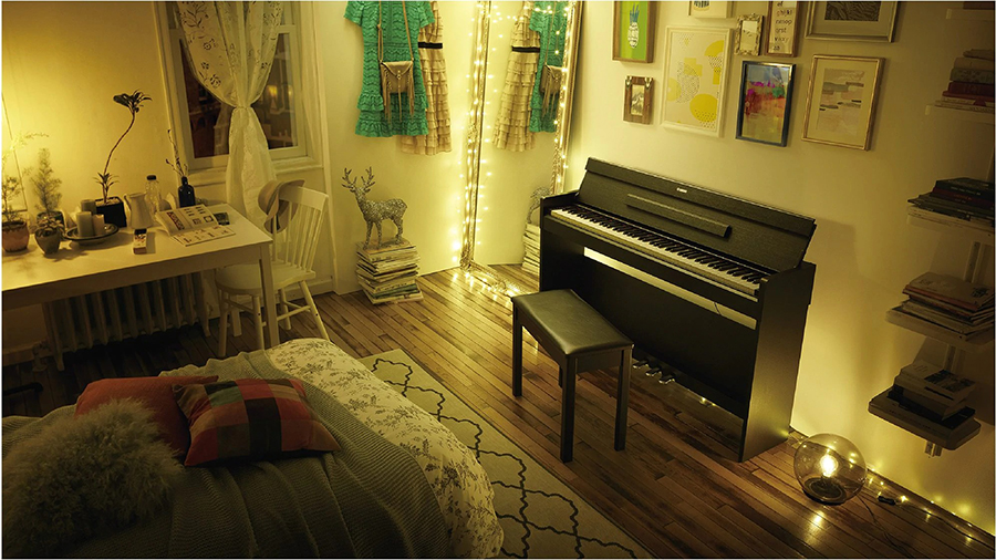 Music City – Tổng Kho Piano, Guitar, Organ | Dịch Vụ Giáo Dục Âm Nhạc