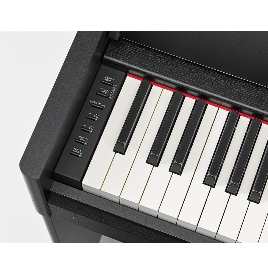 Music City – Tổng Kho Piano, Guitar, Organ | Dịch Vụ Giáo Dục Âm Nhạc