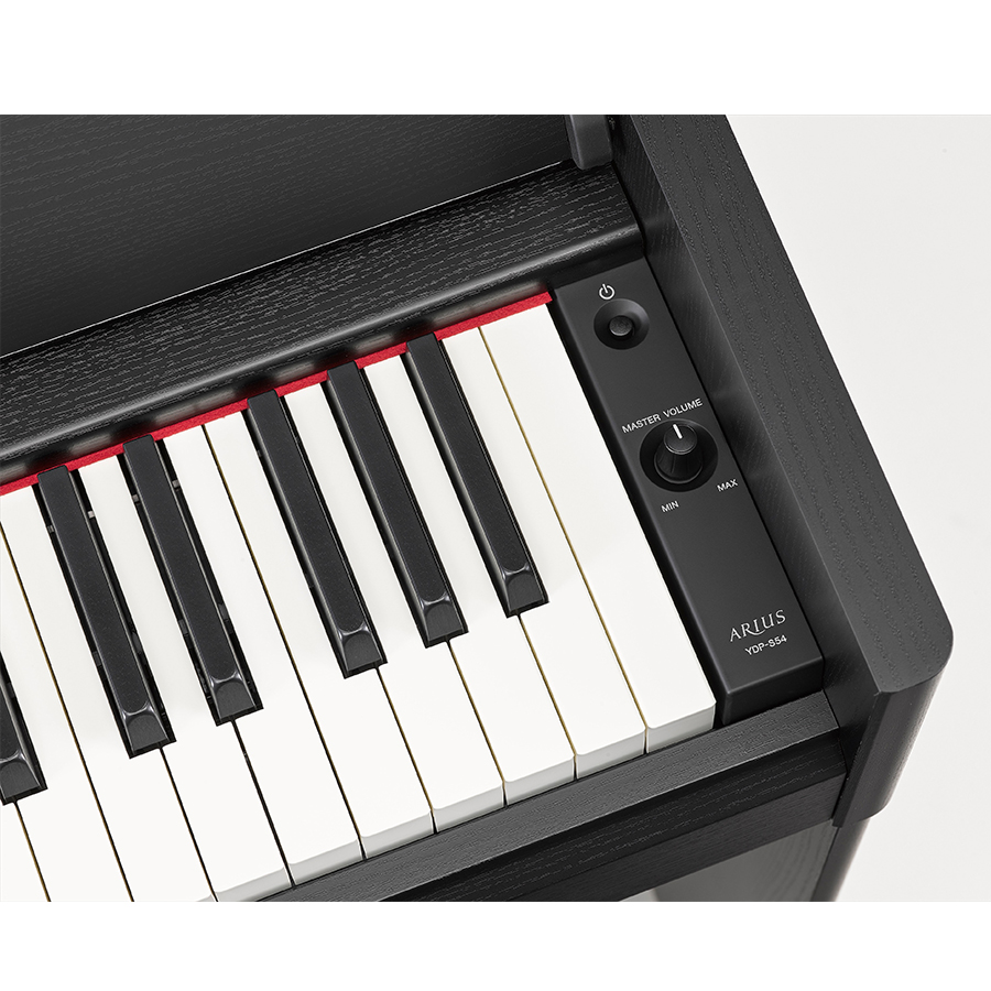 Music City – Tổng Kho Piano, Guitar, Organ | Dịch Vụ Giáo Dục Âm Nhạc