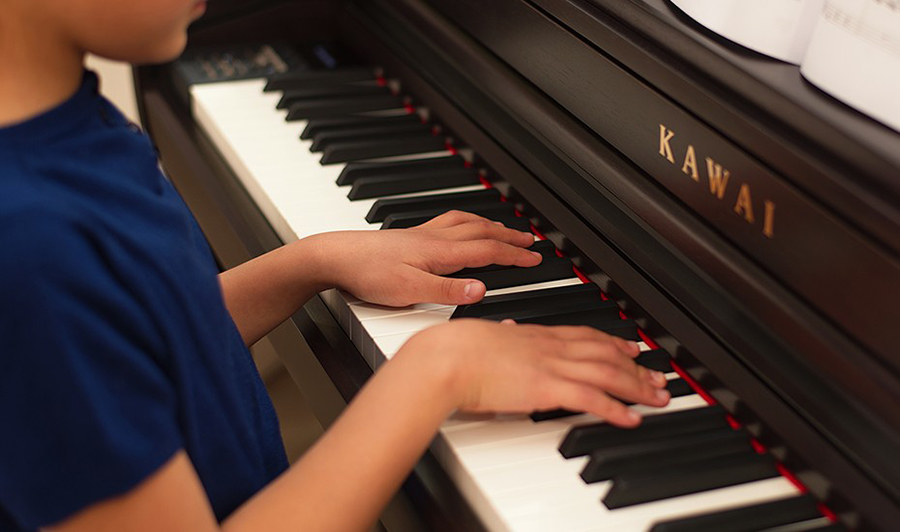 Music City – Tổng Kho Piano, Guitar, Organ | Dịch Vụ Giáo Dục Âm Nhạc