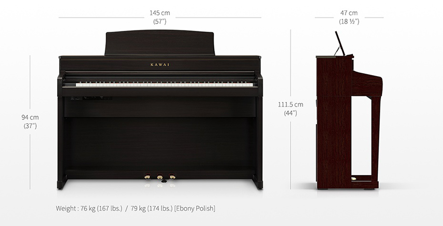 Music City – Tổng Kho Piano, Guitar, Organ | Dịch Vụ Giáo Dục Âm Nhạc