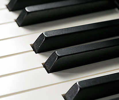 Music City – Tổng Kho Piano, Guitar, Organ | Dịch Vụ Giáo Dục Âm Nhạc