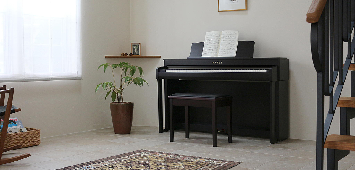 Music City – Tổng Kho Piano, Guitar, Organ | Dịch Vụ Giáo Dục Âm Nhạc